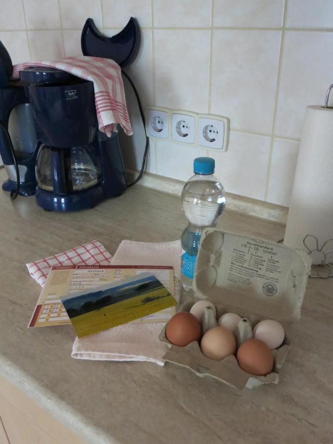 Ferienwohnung Schlesinger هونشتاين المظهر الخارجي الصورة